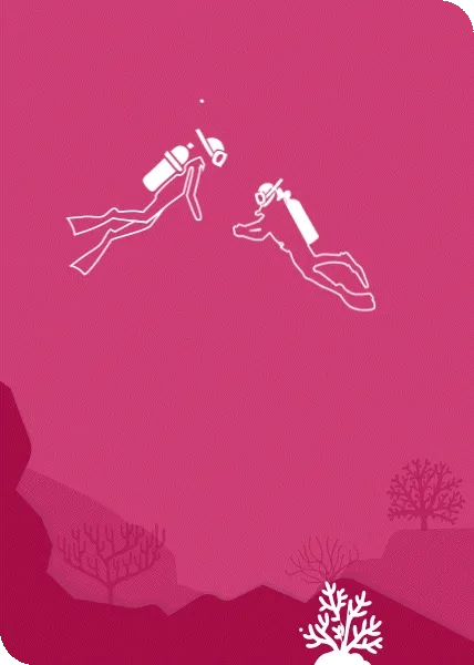 Diver swimming near coral illustration